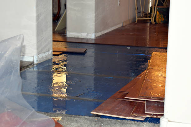 Professional Water Damage technician working in Eland, WI